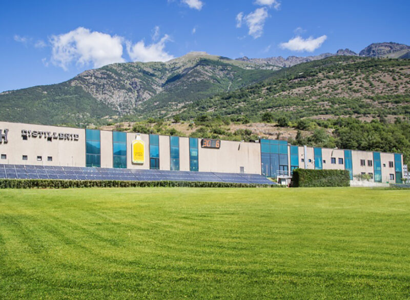 Quattro sono le vie  del Genepy Saint Roch
