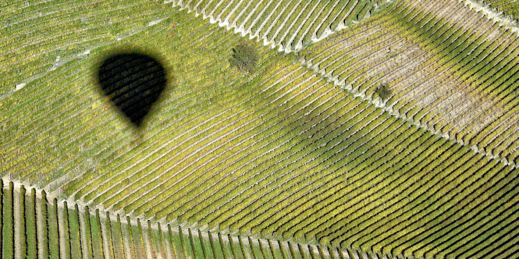Il giro del mondo delle vigne in 200 giorni