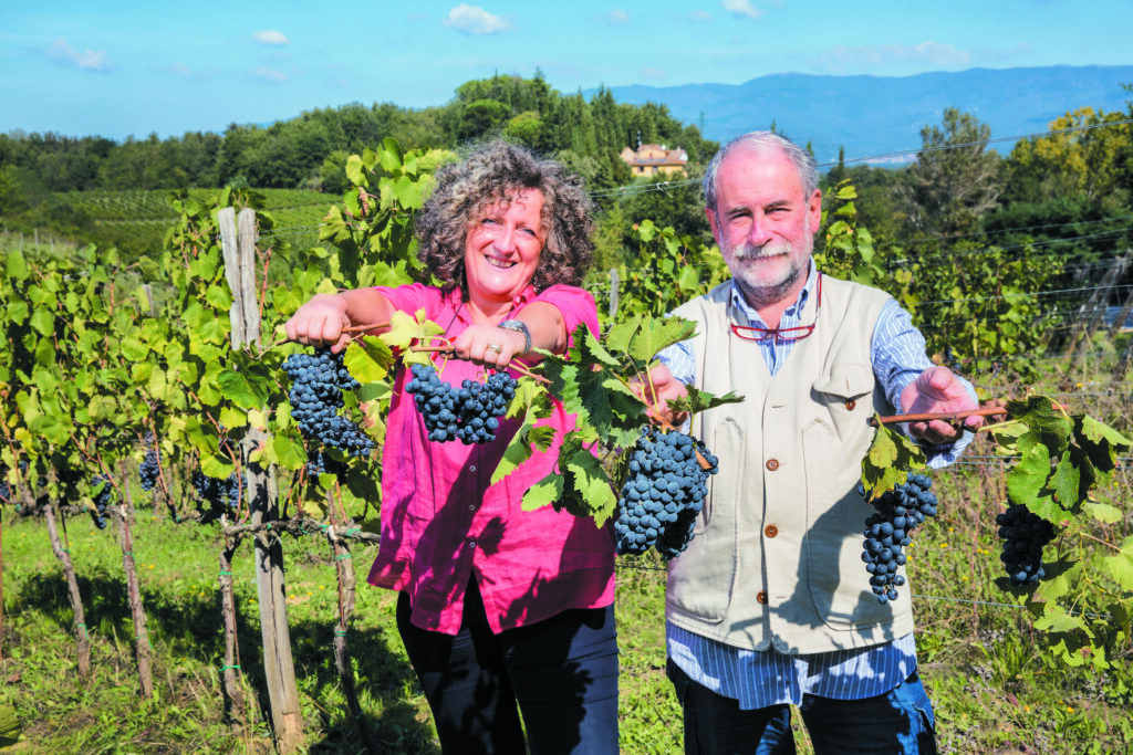 Barsaglina, ottima da sola e nel Chianti