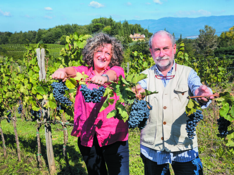 Barsaglina, ottima da sola e nel Chianti