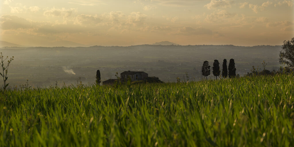 Colline Teramane Docg da bere tutti i giorni