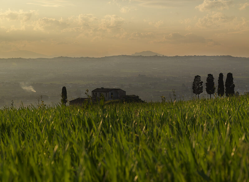 Colline Teramane Docg da bere tutti i giorni
