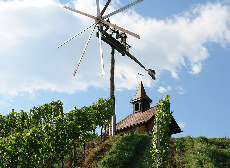I vini della Stiria guardano al futuro