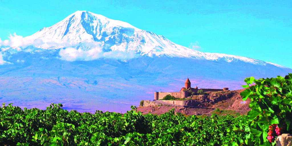 Candidiamo la vitis vinifera a patrimonio dell’umanità