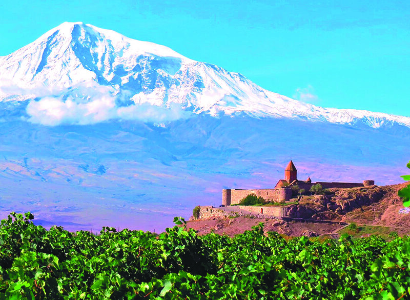 Candidiamo la vitis vinifera a patrimonio dell’umanità
