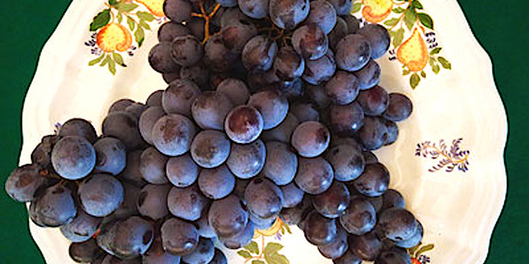 Inedito Occhiorosso dal cuore del Chianti