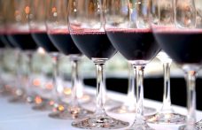 Teroldego e Pinot noir in sei masterclass a Incontri Rotaliani