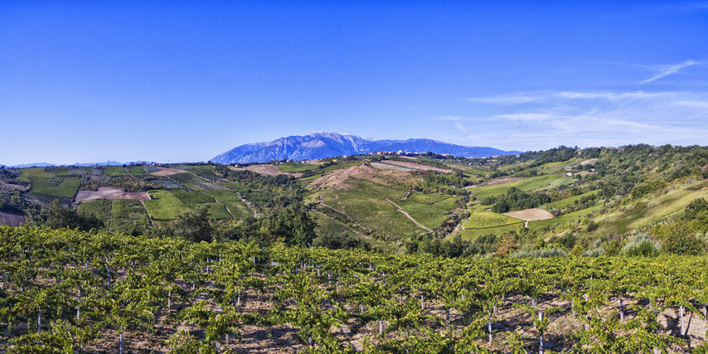 Cantina Orsogna 1964 e gli spumanti biodinamici ancestrali