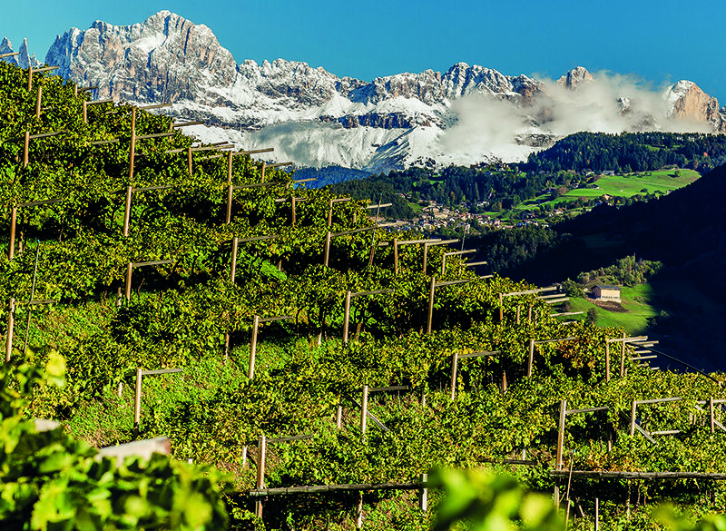 Vini Alto Adige Doc. Eccellenza  e sostenibilità a marchio europeo
