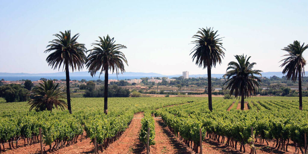 Trend rosé: LVMH acquista Château du Galoupet