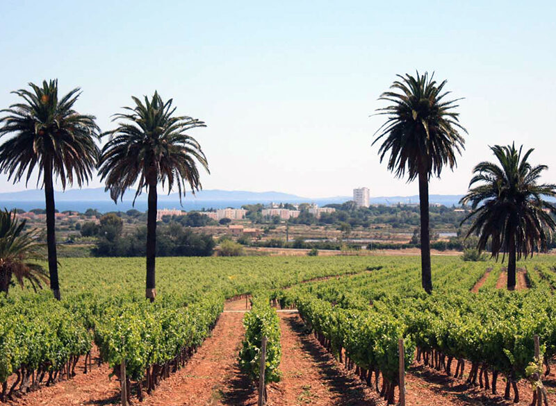 Trend rosé: LVMH acquista Château du Galoupet