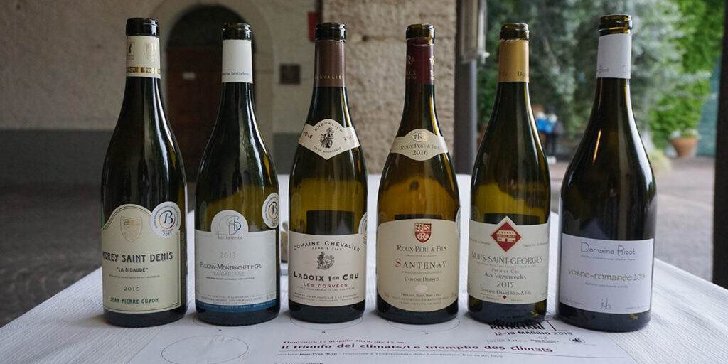 Il trionfo dei climats in 5 vini (+1) della Côte d’Or﻿