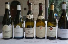 Il trionfo dei climats in 5 vini (+1) della Côte d’Or﻿
