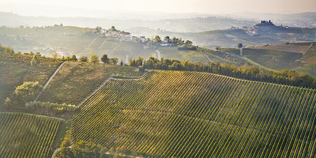 Michele Chiarlo e la riscossa del Nizza Docg