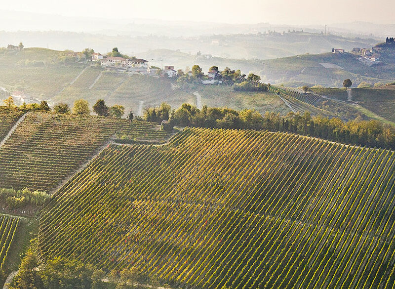 Michele Chiarlo e la riscossa del Nizza Docg