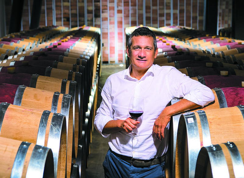 Vecchie Vigne 2016 Umani Ronchi, da ricordare
