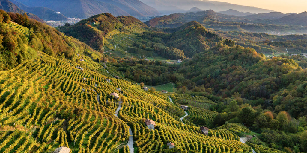 Conegliano Valdobbiadene: tutte le vittorie del Prosecco Docg