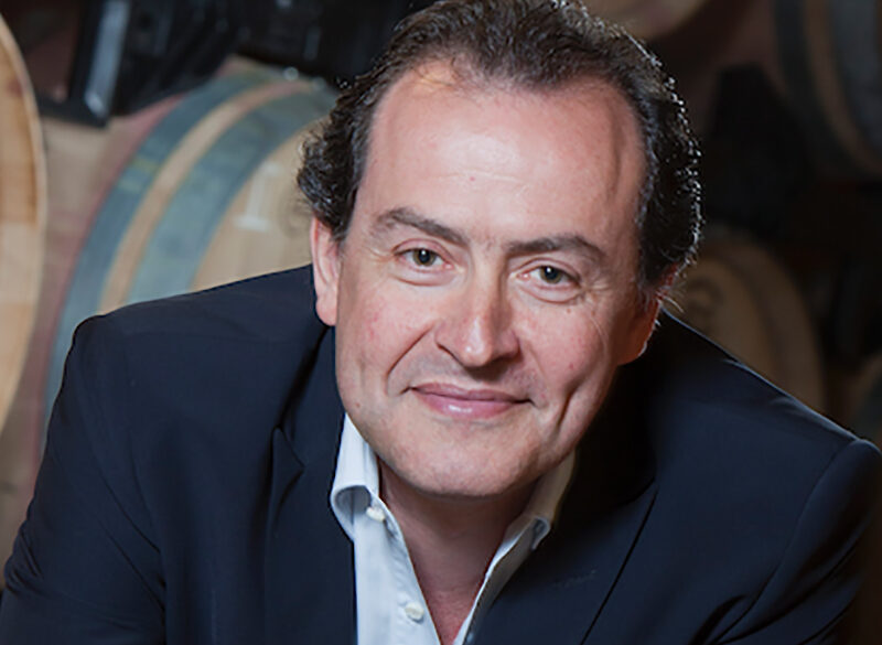 Il Gamay del Trasimeno non c’entra nulla col Beaujolais