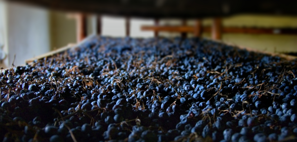 La Valpolicella blocca gli impianti per arginare il fenomeno Amarone