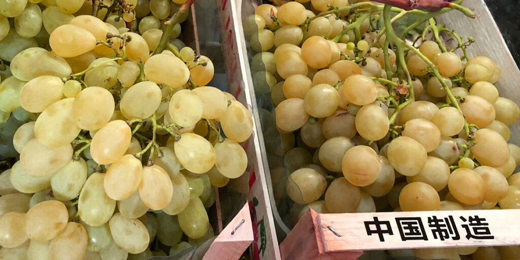 Cina primo produttore mondiale di uva (da tavola)