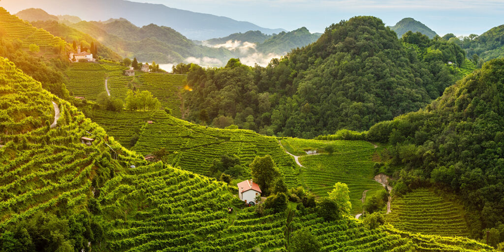 I colli di Conegliano Valdobbiadene patrimonio Unesco