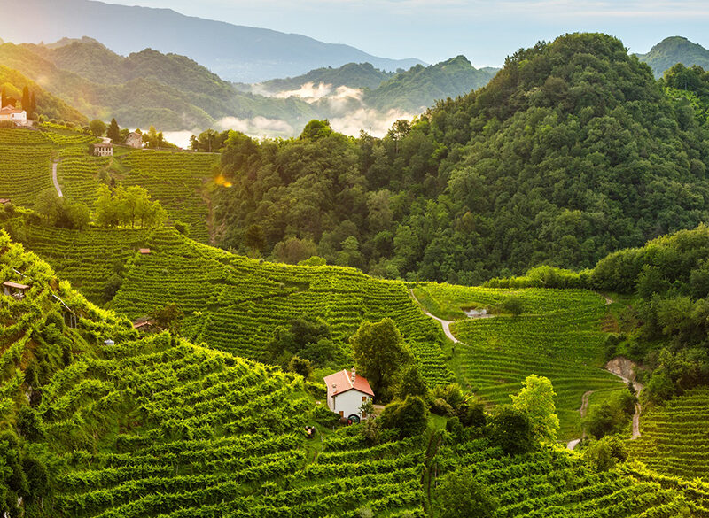 I colli di Conegliano Valdobbiadene patrimonio Unesco