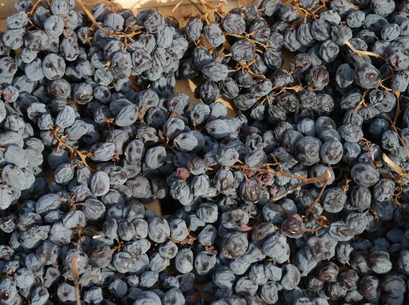 Novità nel disciplinare di Valpolicella Ripasso, Amarone e Recioto