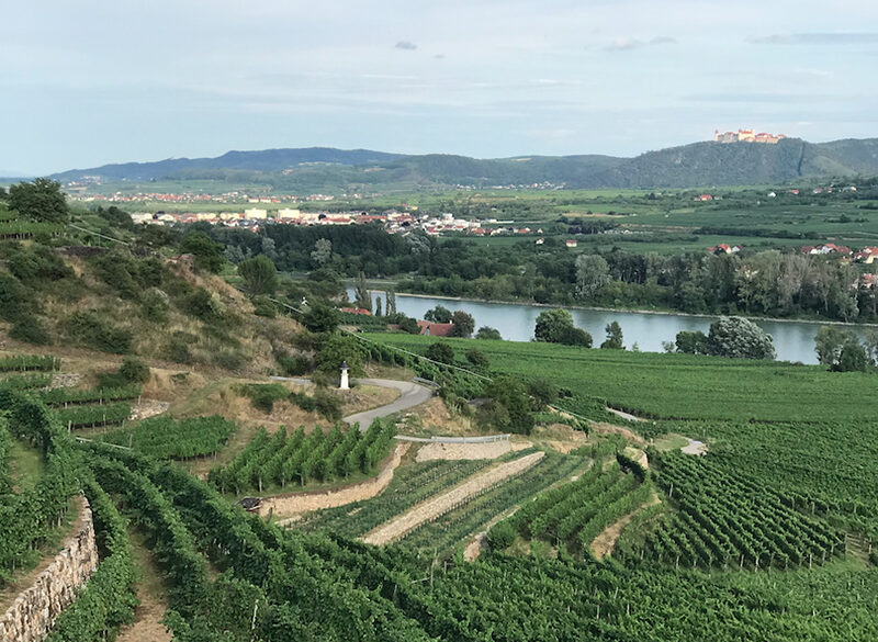 L’impero del Grüner Veltliner
