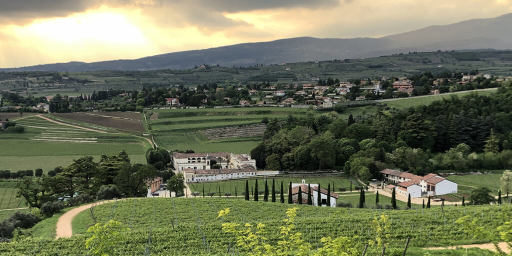 Bertani Cru, protagonista è il Valpolicella