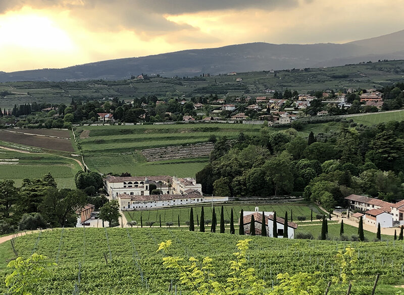 Bertani Cru, protagonista è il Valpolicella