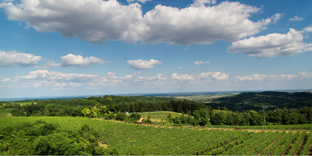 In Ungheria non solo Tokaji, anzi…
