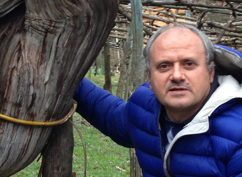 Tintore di Tramonti, da vigne secolari a piede franco