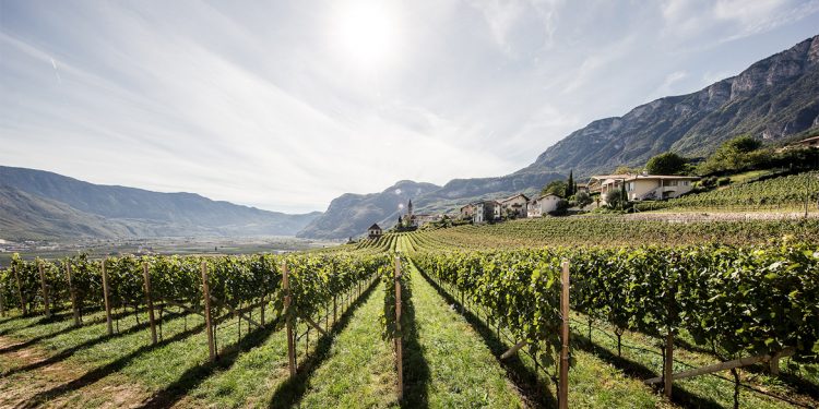 Alto Adige Wine Summit: l’armonia è nei contrasti