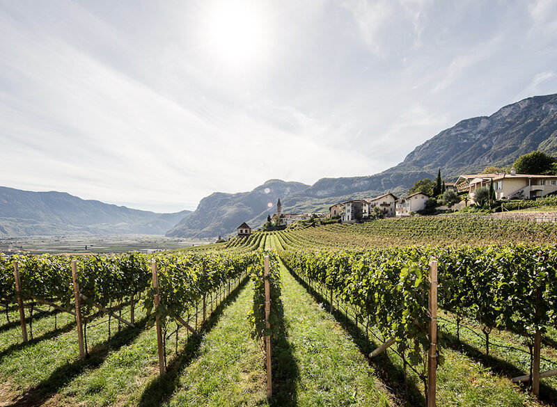 Alto Adige Wine Summit: l’armonia è nei contrasti