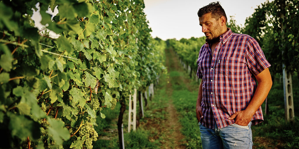 Leopardo Felici, Verdicchio Boy dall’animo green