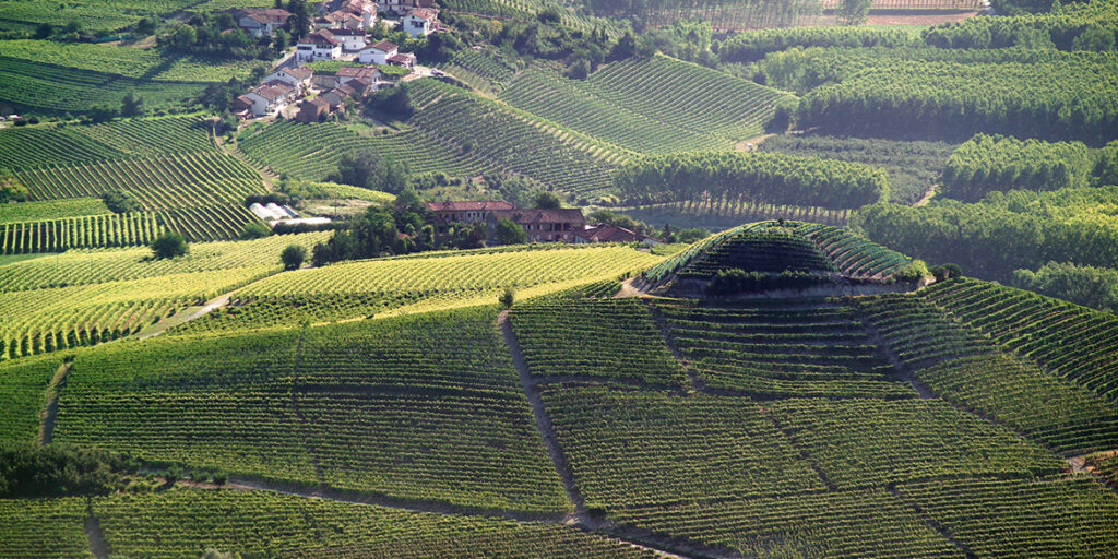 Barolo e Barbaresco ieri, oggi e domani