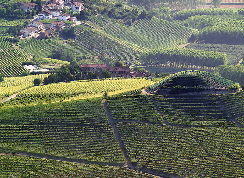 Barolo e Barbaresco ieri, oggi e domani