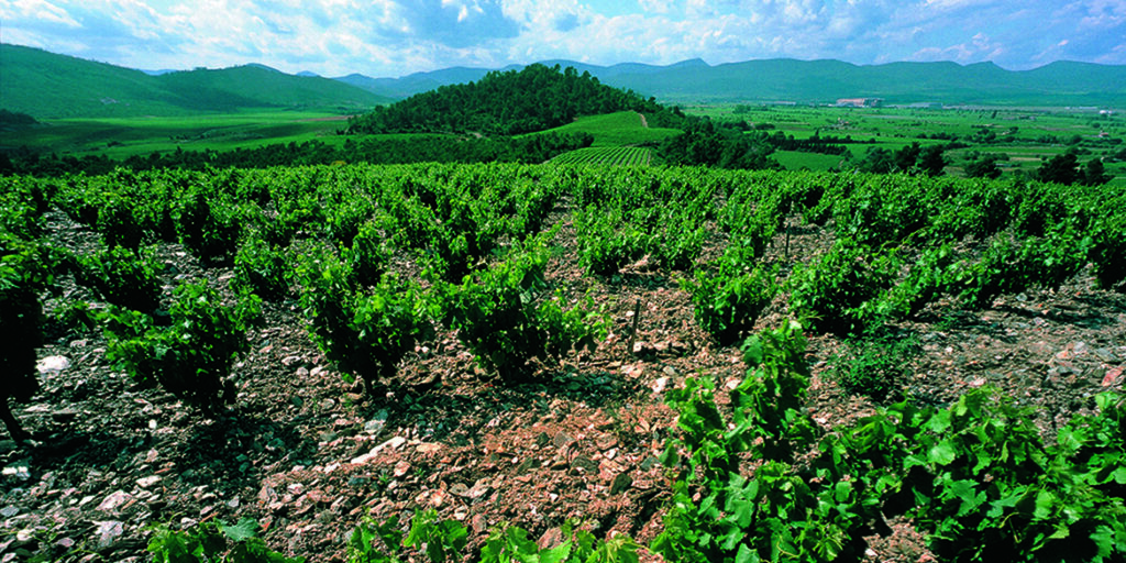 Un gran rosé de La Gordonne (e due spumanti a sorpresa)