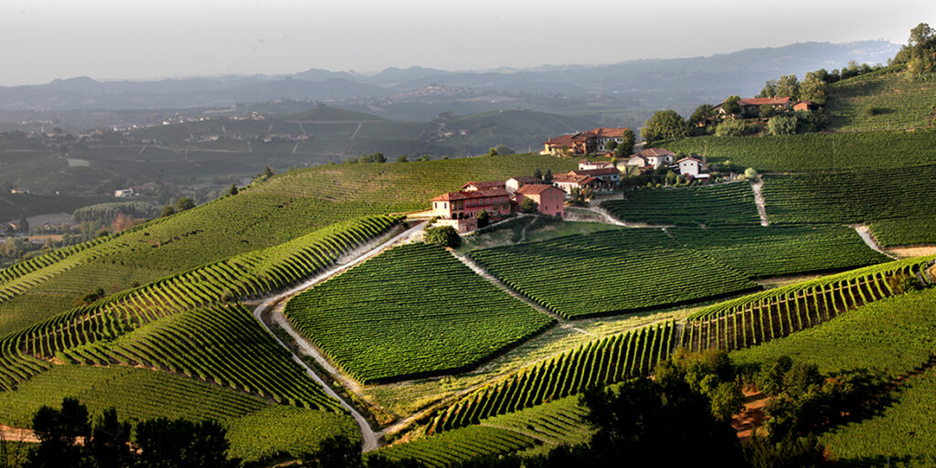 Secondine 2017, in anteprima il nuovo cru di Barbaresco Prunotto