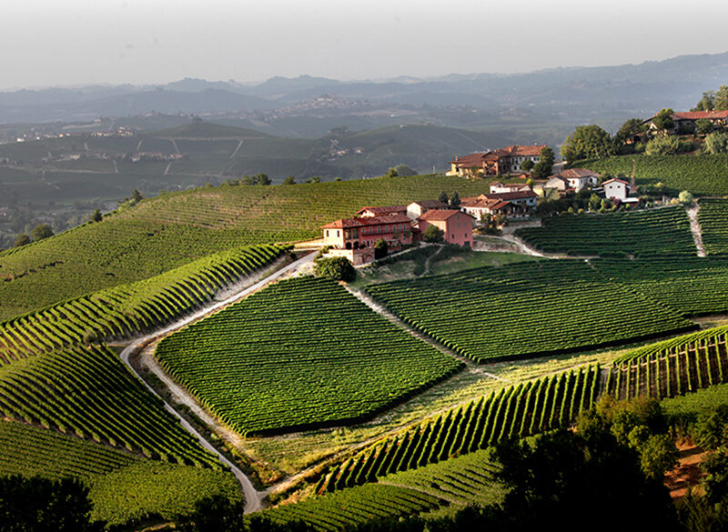 Secondine 2017, in anteprima il nuovo cru di Barbaresco Prunotto