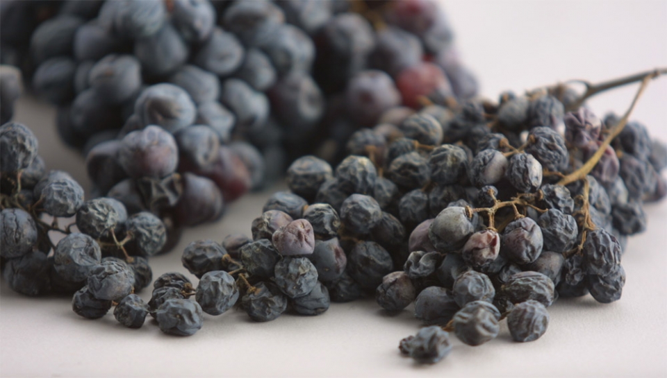 Amarone: la sentenza definitiva per Consorzio e Famiglie Storiche