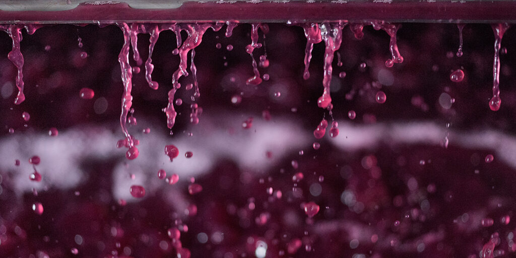 Nebbiolo in cantina, un lavoro per umanisti ed equilibristi