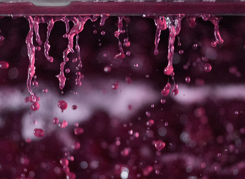Nebbiolo in cantina, un lavoro per umanisti ed equilibristi