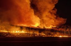 Ancora incendi in California: a fuoco la Sonoma County