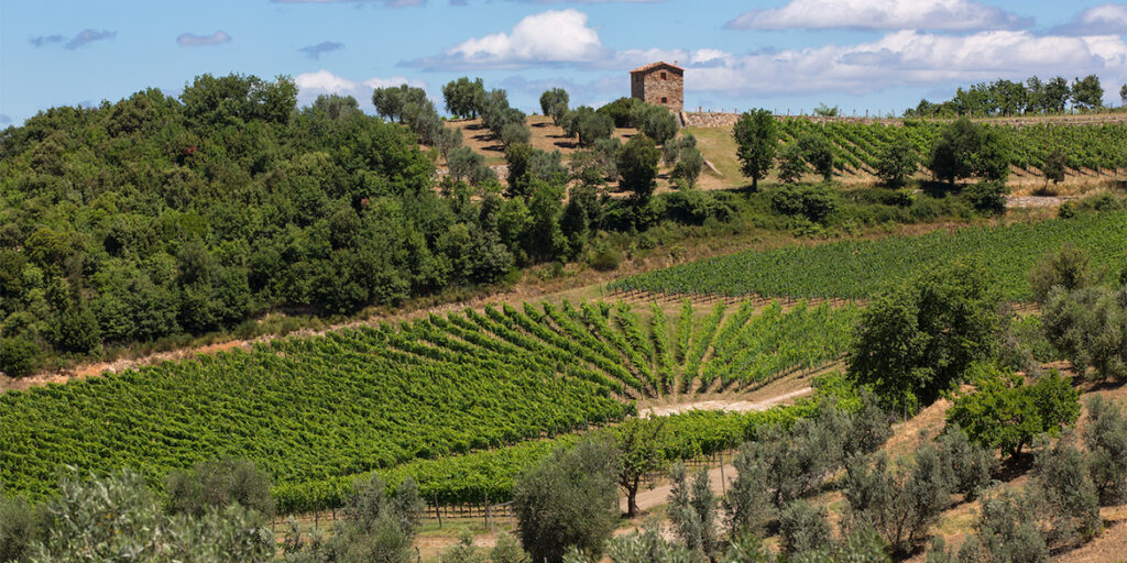 Podere Forte, un modello ecosostenibile in Val d’Orcia