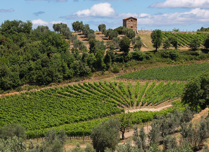 Podere Forte, un modello ecosostenibile in Val d’Orcia