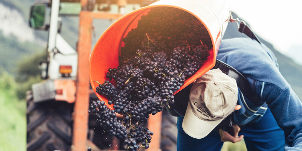 Pinot nero Castelfeder: presentati tre nuovi cru