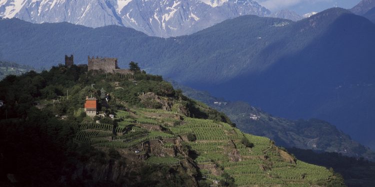 Chiavennasca, il Nebbiolo in Valtellina