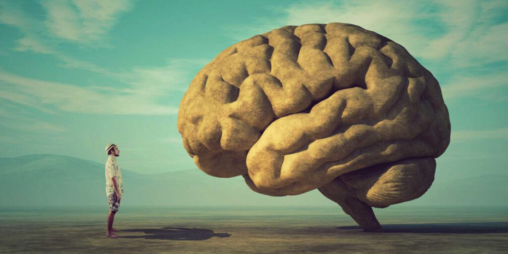 Intelligenza vegetale. La vite parla con noi