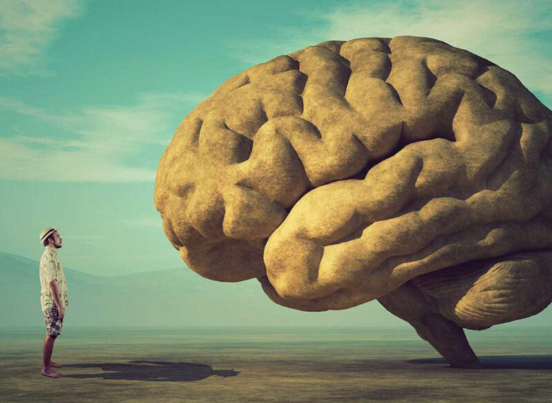 Intelligenza vegetale. La vite parla con noi